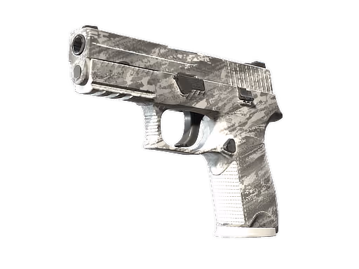 P250 | Sleet