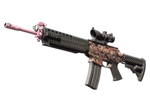 SG 553 | Desert Blossom