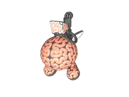 Big Brain