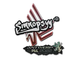 sinnopsyy | Antwerp 2022