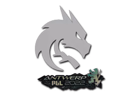 Team Spirit | Antwerp 2022