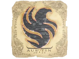 Falcons | Austin 2025