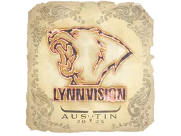 Lynn Vision | Austin 2025