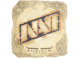 Natus Vincere | Austin 2025