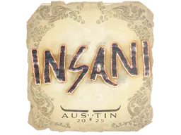 insani | Austin 2025