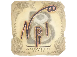 npl | Austin 2025