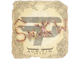 snow | Austin 2025