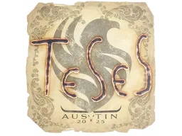 TeSeS | Austin 2025