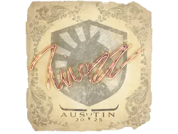 Twistzz | Austin 2025