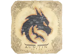 Team Spirit | Austin 2025