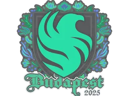 Falcons | Budapest 2025