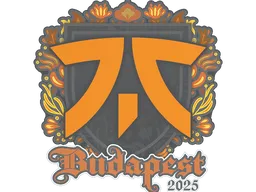 fnatic | Budapest 2025