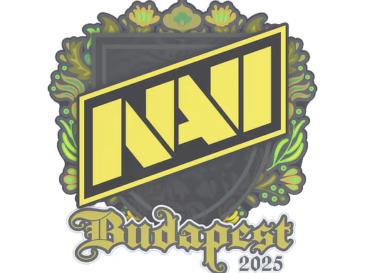 Natus Vincere | Budapest 2025