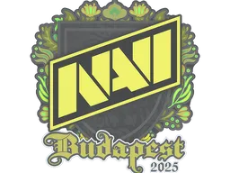 Natus Vincere | Budapest 2025