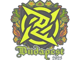 Ninjas in Pyjamas | Budapest 2025