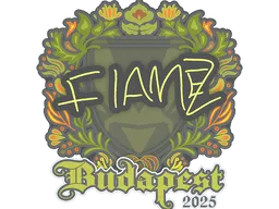 FlameZ | Budapest 2025
