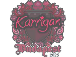 karrigan | Budapest 2025