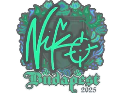 NiKo | Budapest 2025