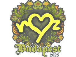 ropz | Budapest 2025