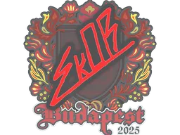 sk0R | Budapest 2025