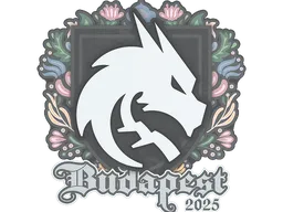 Team Spirit | Budapest 2025