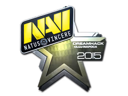 Natus Vincere | Cluj-Napoca 2015