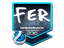 fer | Cluj-Napoca 2015