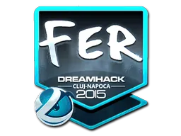 fer | Cluj-Napoca 2015