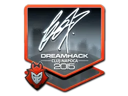 fox | Cluj-Napoca 2015