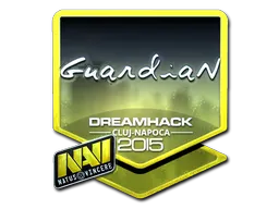 GuardiaN | Cluj-Napoca 2015