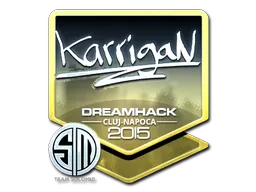 karrigan | Cluj-Napoca 2015