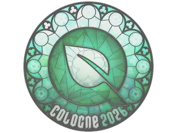 FlyQuest | Cologne 2026
