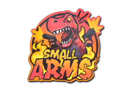 Small Arms
