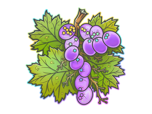 From The Vine