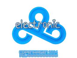 electronic | Copenhagen 2024