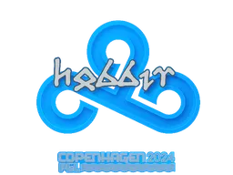 Hobbit | Copenhagen 2024