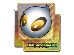 Team Dignitas | DreamHack 2014