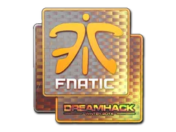 Fnatic | DreamHack 2014