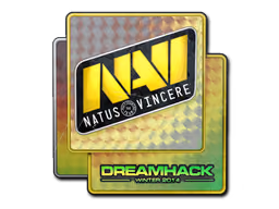 Natus Vincere | DreamHack 2014