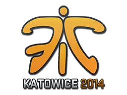 Fnatic | Katowice 2014