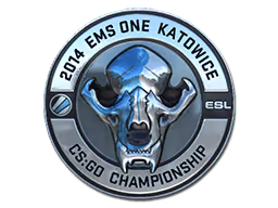 ESL Skull | Katowice 2014