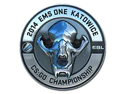 ESL Skull | Katowice 2014