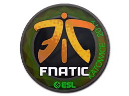 Fnatic | Katowice 2019