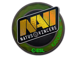 Natus Vincere | Katowice 2019
