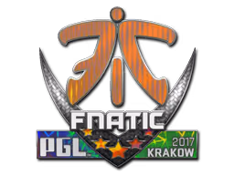 Fnatic | Krakow 2017