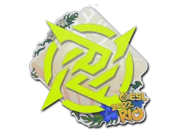 Ninjas in Pyjamas | Rio 2022