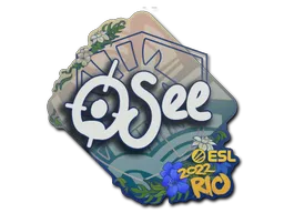 oSee | Rio 2022