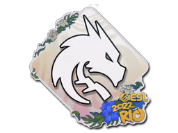 Team Spirit | Rio 2022