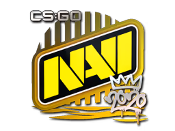 Natus Vincere | 2020 RMR