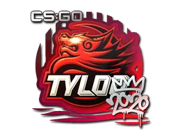 TYLOO | 2020 RMR